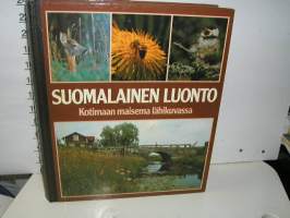 suomalainen luonto .kotimaan maisema lähikuvassa.