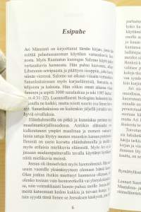 Laita valot päälle – löydä yhteys Jumalaan
