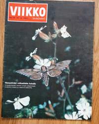 Viikkosanomat Viikko Sanomat 1963 nr 24 mäntykiitäjä, tupajumi, Åaavi on kuollut, tupakantuska
