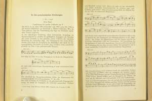Die symphonischen Dichtungen von Jean Sibelius
