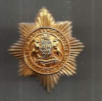 South African Police Badge - poliisin  merkki metallia  ruuvikiinnitys  - poliisi