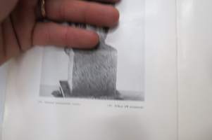 Wäinö Aaltonen, Taidehalli - Konsthallen, Veistoksia 1915-1950, 15-26.12.1950 -näyttelyluettelo / art exhibition catalog
