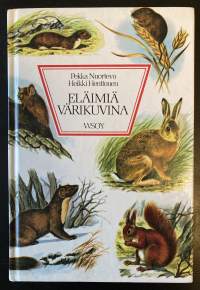 Eläimiä värikuvina - Nisäkkäät, matelijat, sammakoeläimet