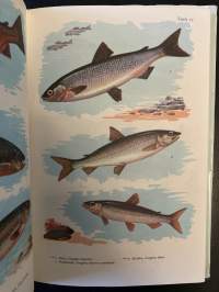 Pohjolan kalat värikuvina