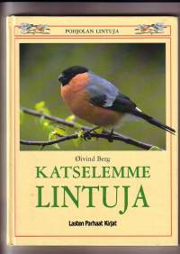 Katselemme lintuja