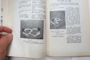 Uinti kaikkien taidoksi (40 kuvaa ja kuvasarjaa)