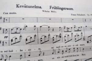 100 kuuluisaa yksinlaulua keskiäänelle pianon säestyksellä II vihko Löwe, Schubert
