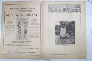 Suomen Kuvalehti 1917 nr 27, kansikuva Englantilainen panssarilaiva