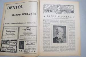 Suomen Kuvalehti 1919 nr 33, kansikuva Elokuu, Kuva pääkaupunkimme lasten kesäelämästä, Pitkämatkaisia valtamerenlaivoja, Sankarihautojen muistomerkkejä, ym.