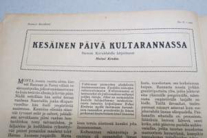 Suomen Kuvalehti 1920 nr 31, kansikuva Tasavallan presidentti purjehtijana, Tanssin mestaruuskilpailut, Punaisen kukon riehuntaa, Sotapoikiemme opintokurssit, ym.