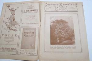 Suomen Kuvalehti 1921 nr 20, kansikuva Harpunsoittaja Lilli Cajanus-Blenner, Tampereen maatalousnäyttelyä odotellessa, Wormsin Luther-juhla, Tornio 300-vuotas, ym.