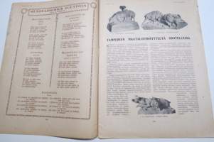 Suomen Kuvalehti 1921 nr 20, kansikuva Harpunsoittaja Lilli Cajanus-Blenner, Tampereen maatalousnäyttelyä odotellessa, Wormsin Luther-juhla, Tornio 300-vuotas, ym.