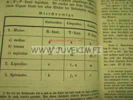 Grammatik der Lateinischen Sprache 1842 -teos kuulunut E.N. Setälän kirjastoon