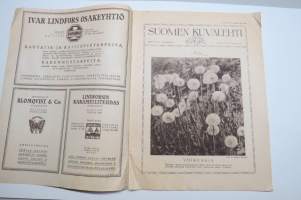 Suomen Kuvalehti 1921 nr 46, kansikuva Ingeborg Liljeblad, Kuvia Lammin kirkosta, Kontinentin lumoama, Marraskuun ryhmän vuosinäyttelyssä, Kirjallisuusviikolta, ym.