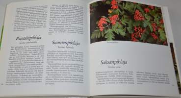 Suuri marjakirja. Pohjolan marjat ja 246 herkullista reseptiä.