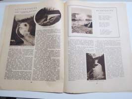 Suomen Kuvalehti 1923 nr 30, Stålhandskein kappeli Turun Tuomiokirkossa, Pääkaupunkilaisen päväkirja, Juho Rissasen seinämaalaukset, Voiko Lusitanian pelastaa, ym.