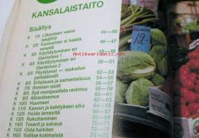 Kansalaistaito