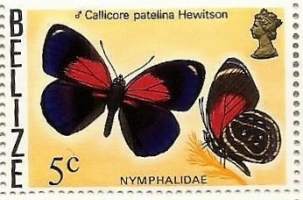Belitze perhosia postimerkki 6x4 = 24  ** postituore ulkomainen postimerkki