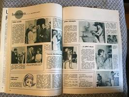 Hopeapeili 1966 N:o 21