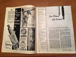 den moderna Husmodern 4/1963