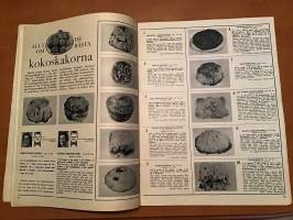 den moderna Husmodern 4/1963