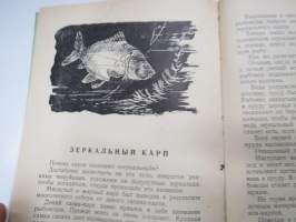 Беседы о животных, &quot;kertomuksia / kuvauksia eläimistä&quot; -neuvostoliittolainen lastenkirja
