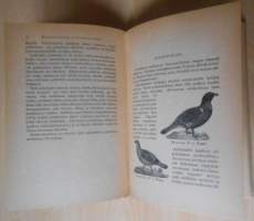 Vietit ja vaistot lintumaailmassa