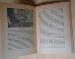 Vietit ja vaistot lintumaailmassa