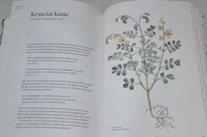 Aaloesta öljypuuhun  suomen kielellä mainittuja kasveja Agricolan aikaan