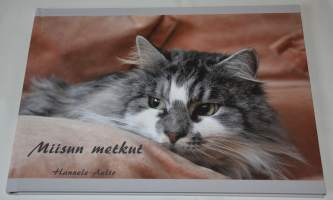 Miisun metkut Kuvakirja kissasta