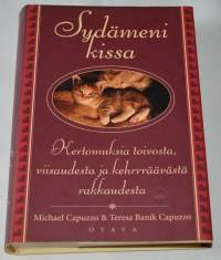 Sydämeni kissa