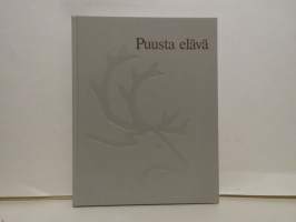 Puusta elävä. KAJAANI Oy:n vaiheita vuodesta 1946