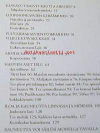 kuivatut  kasvit. Kaunista  kuivaamalla