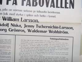 Unelma karjamajalla - Drömmen på fäbovallen, ohjaus William Larsson, Jessi Wessel, Adolf Niska, Jenny Tschernichin-Larsson -elokuvajuliste / movie poster