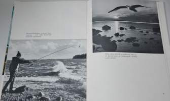 Uusikaupunki kuvateos vuodelta 1967