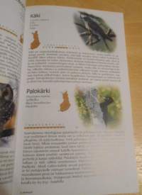 Koko perheen luonto-opas, Nisäkkäät, linnut, hyönteiset, kalat, kasvit