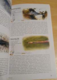 Koko perheen luonto-opas, Nisäkkäät, linnut, hyönteiset, kalat, kasvit