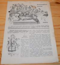 Kaswatusopillisten sanomain lastenlehti huhyikuu 1902