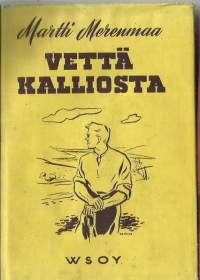 Vettä kalliosta : romaaniKirja/Merenmaa, Martti