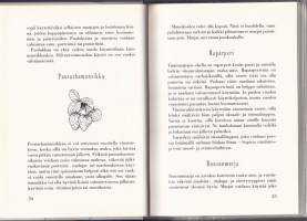 Jorma Järvinen - Kotiviini, 1994. 16.p. Sekä aloitteleville että kokeneille viiniharrastajille. Paljon vaihtoehtoja eri marjoista ja hedelmistä valmistamiseksi
