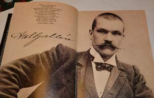 Akseli Gallen-Kallela : elämäkerrallinen rapsodia