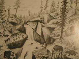 andreas  alarieston lapinkuvat.vakitan tarjous helposti paketti. SjaM koko 19x36 x60 cm paino 35kg 5e
