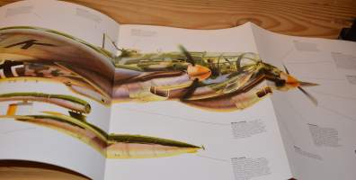 The Gatefold Book of World War II Warplanes
