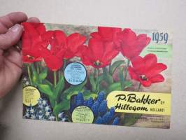 P. Bakker Oy Hillegom Syksy 1961 kukkasipulit, perennat, ruusut, koristepensaat -kuvasto / plants &amp; bulbs catalog