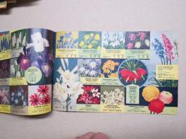 P. Bakker Oy Hillegom Syksy 1961 kukkasipulit, perennat, ruusut, koristepensaat -kuvasto / plants &amp; bulbs catalog