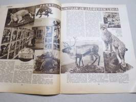 Suomen Kuvalehti 1933 nr 20, kansikuva Toukokuun 16 päivänä 1918, Kaktukset kukkivat, Suomelasta Lallolaan, Paratiisilintuja ja jäämeren leviä, Pientä keskustelua ym