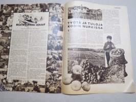 Suomen Kuvalehti 1933 nr 20, kansikuva Toukokuun 16 päivänä 1918, Kaktukset kukkivat, Suomelasta Lallolaan, Paratiisilintuja ja jäämeren leviä, Pientä keskustelua ym