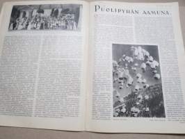 Kotiliesi 1933 nr 2, kansikuva Rudolf Koivu, Ompeluseura töitä, Käsienpesusta ja pesuvälineistä, Miten naiset ovat keränneet rahaa, Puolipyhän aamuna, ym.