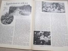 Kotiliesi 1933 nr 4, kansikuva Rudolf Koivu, Onko kotitalous maataloutta?, Pellava on kultaa..., Hampaat-lasten terveyden huolto, Helsingittäret hiihtävät, ym.