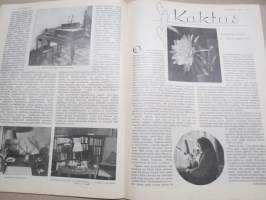 Kotiliesi 1933 nr 6, kansikuva Rudolf Koivu, Erilaisia talletus-muotoja, Kristallimalja, Hannes Gebhard, Käytännöllistä kauneutta, Koti ja uusi tulokas, ym.